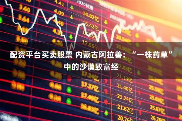 配资平台买卖股票 内蒙古阿拉善：“一株药草”中的沙漠致富经