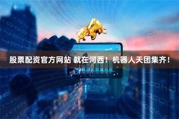股票配资官方网站 就在河西！机器人天团集齐！
