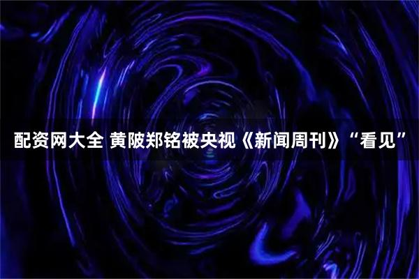 配资网大全 黄陂郑铭被央视《新闻周刊》“看见”